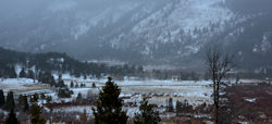 Snowy scene